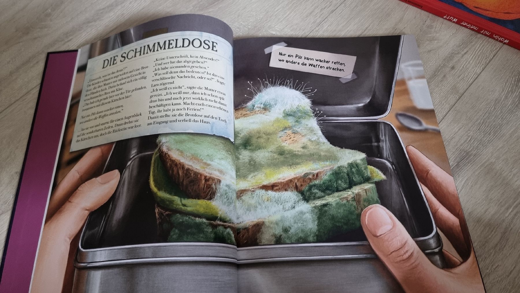 Libri: Verborgene Welten des Mikrokosmus – Nuovo (secondo la descrizione) da Wigoltingen venduto da Zuckerfee84 5