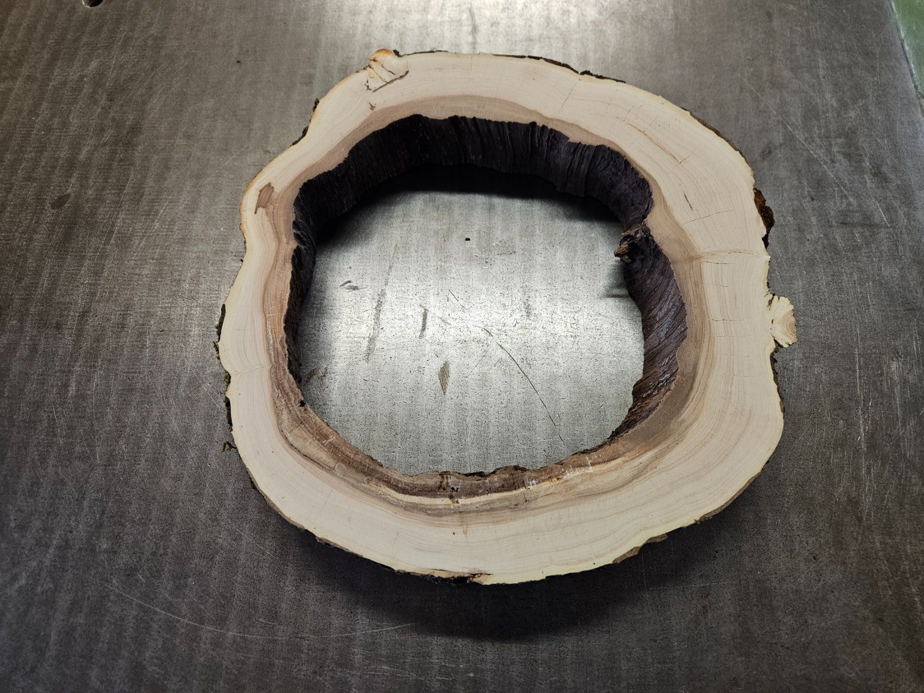 Articoli in legno: Baumscheibe Apfelbaum – Nuovo (secondo la descrizione) da Schangnau venduto da egli6.2 6