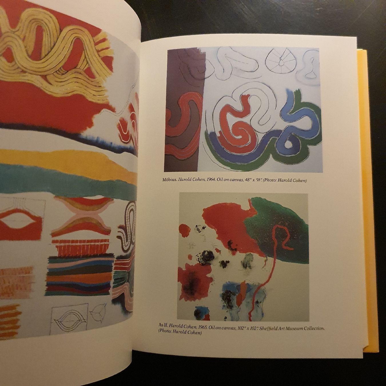 Libri: Aaron's Code: Meta-Art, Artificial Intelligence Harold Cohen – Usato da Zürich venduto da TimZurich1 7