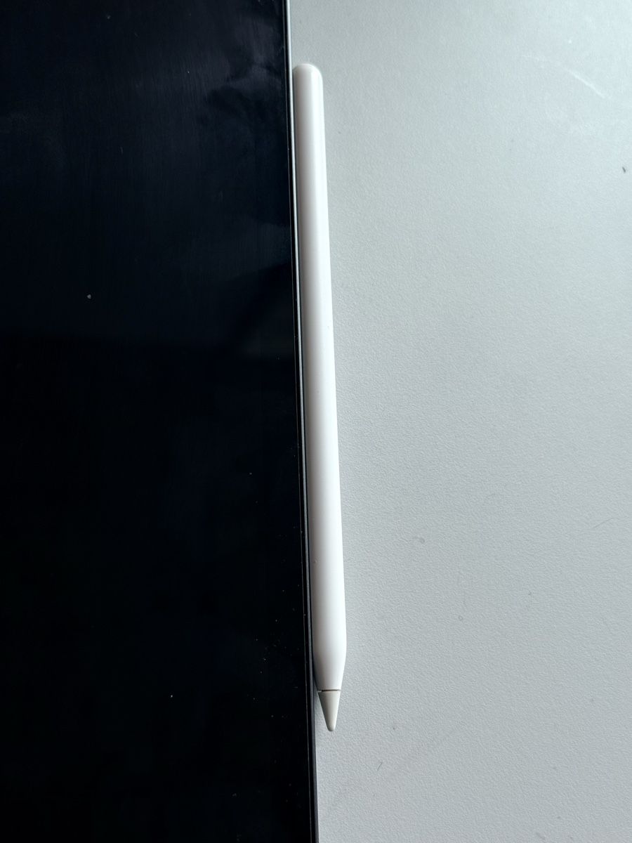Penna & Evidenziatori: Apple Pencil 2nd Generation – Usato da Oberwil BL venduto da dur_c9mp 5