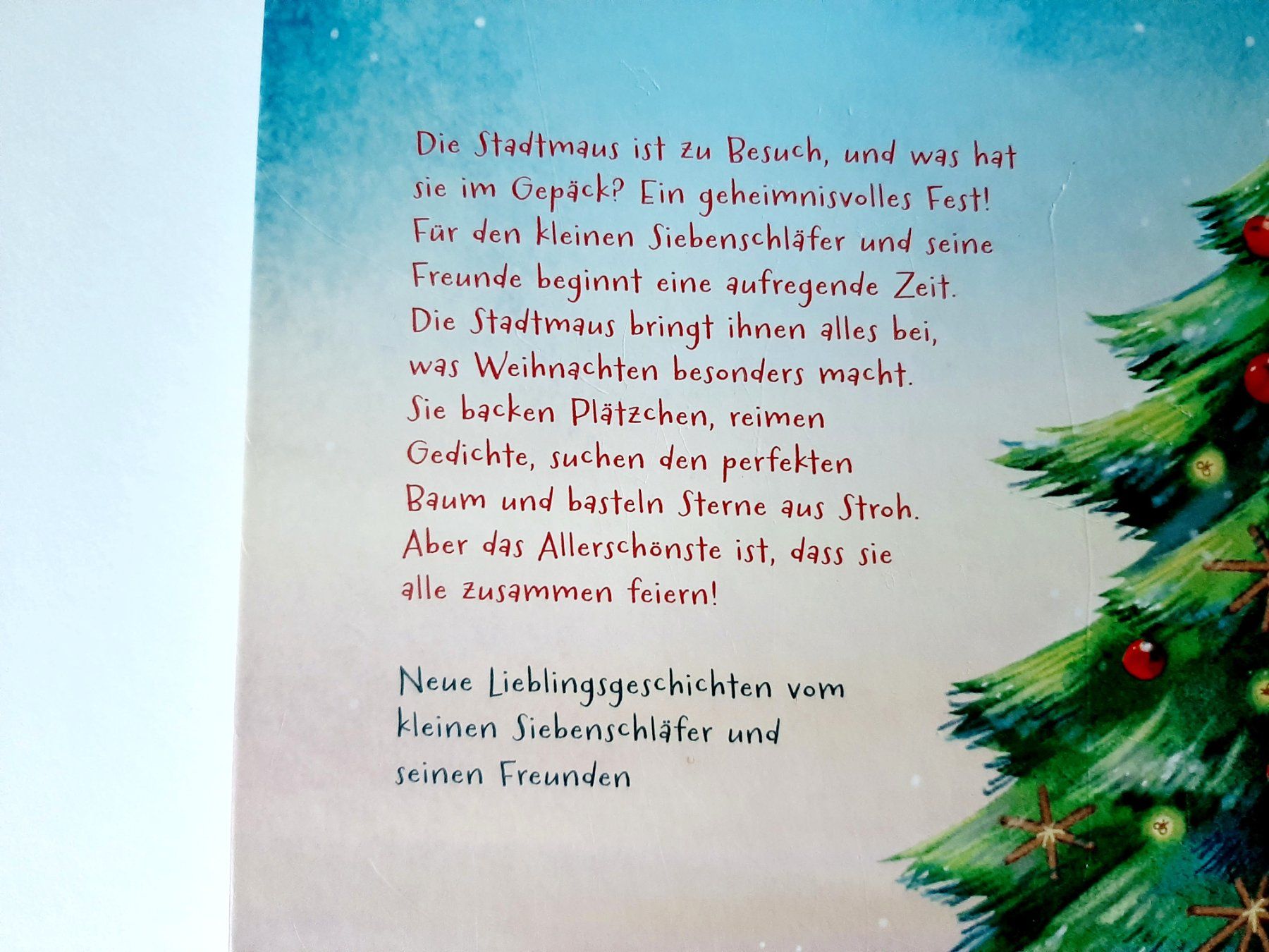 Libri: Ein Lichterwald voller Weihnachtsgeschichten Siebenschläfer – Usato da Flaach venduto da maj_w_ 1