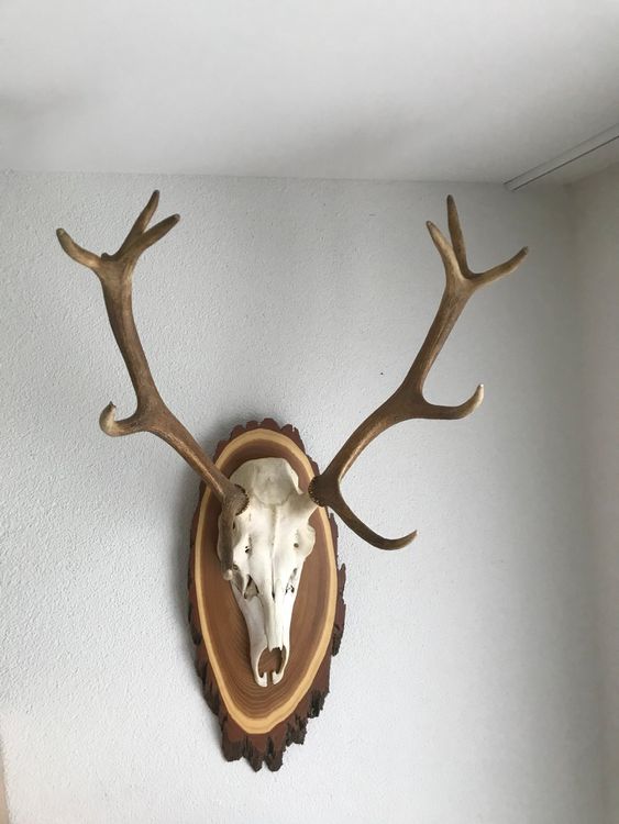 GGSTDDUP 50 Stück Mini-Stockenten Aus Kunstharz – Deko Für Naturliebhaber, Jagd & Sammler