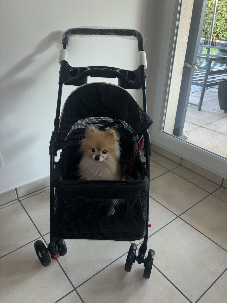 Carrozzine: Poussette pour chien NEUVE – Nuovo e nell'imballaggio originale da Carouge GE venduto da lia_t7zd 2