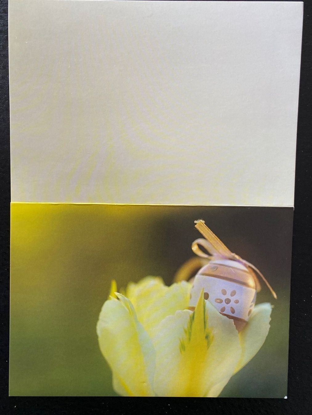 Cartoline: Frühlingskarten doppelseitig bedruckt – Nuovo (secondo la descrizione) da Aarau venduto da chicochicomama 5