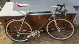 Vélo single-speed - Trek - Cadre alu-carbone - Taille 54/56