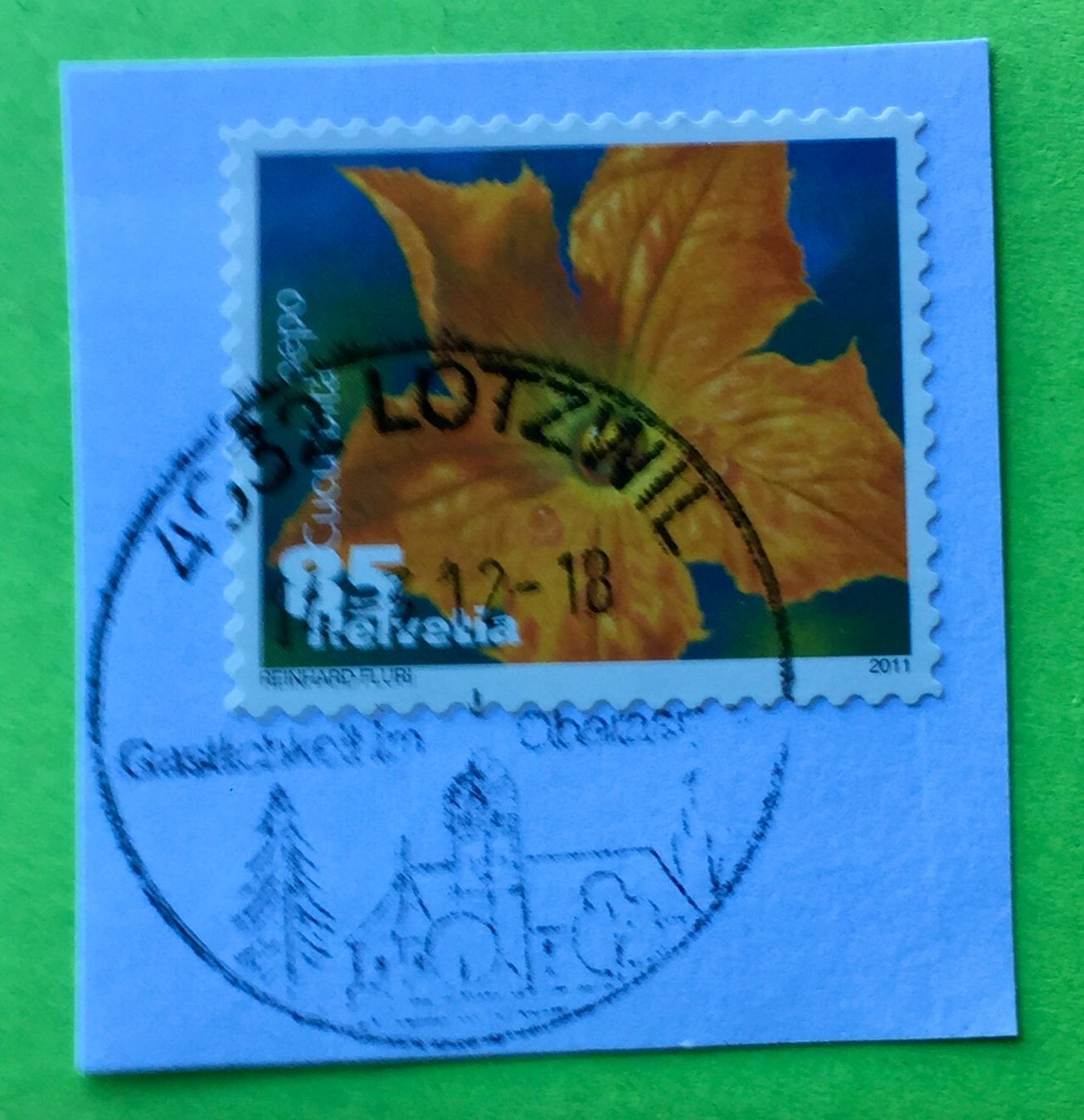 Tutti i francobolli: Nr.1376 Dauermarken Gemüseblüten 2011 mit Stempelt Zucchini – Usato da Aarau venduto da Billa007
