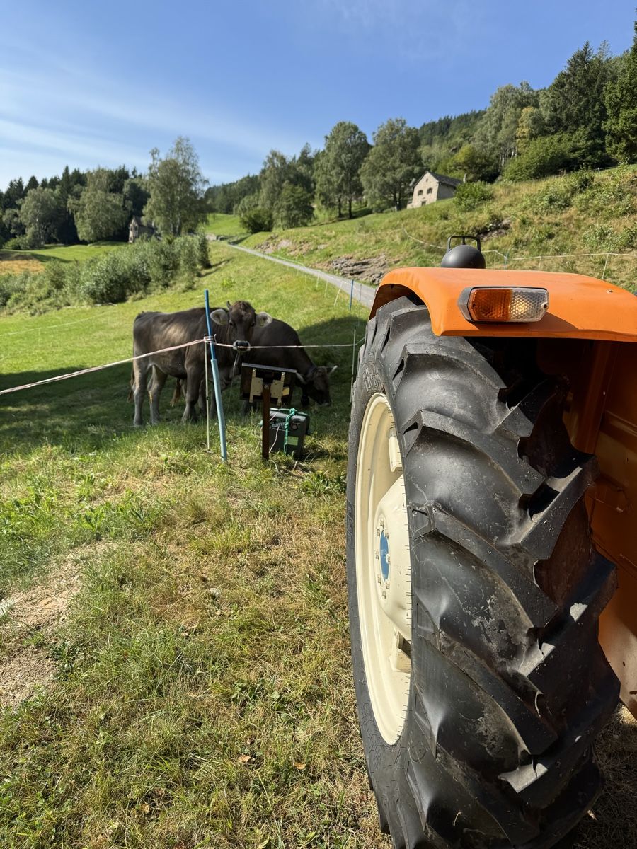 Fiat Trattori: Fiat 640 – Usato da Biasca venduto da mau_jyn2 3