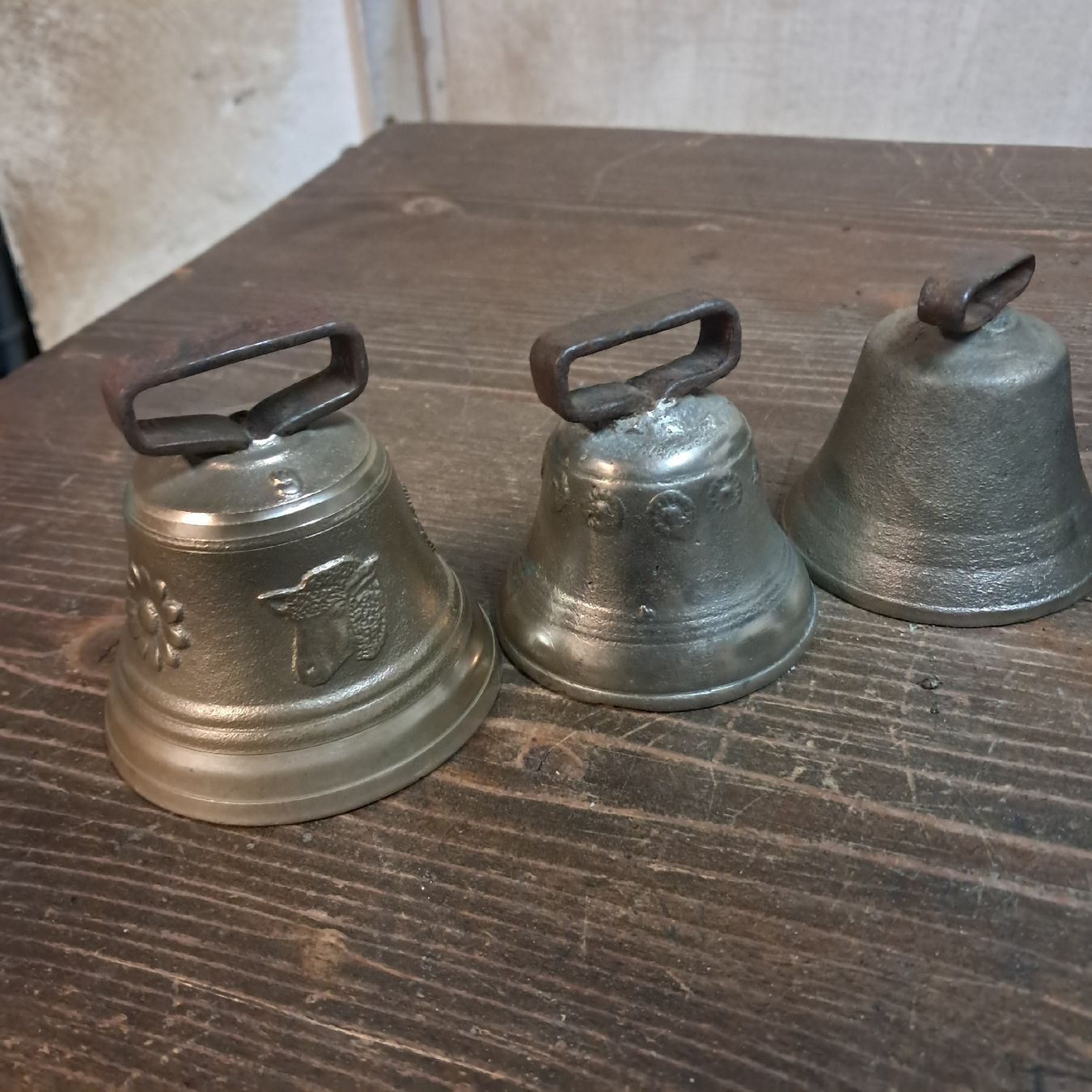 Campanacci mucche: 5 Glocken / Treicheln – Usato da Murten venduto da SHETHOF 3