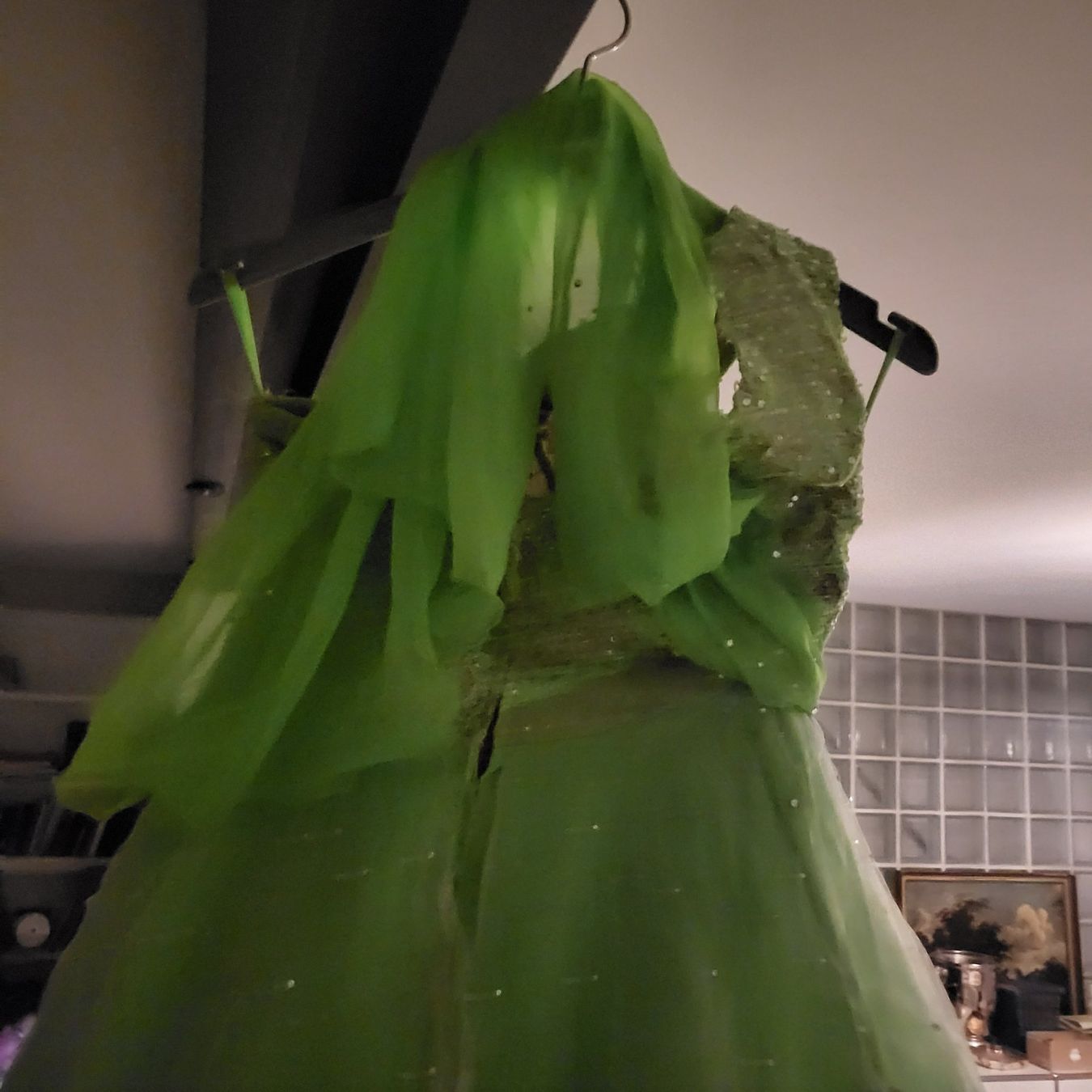 Vestiti: Ballkleid grün 36/38 – Usato da meisterschwanden venduto da ursm03 6