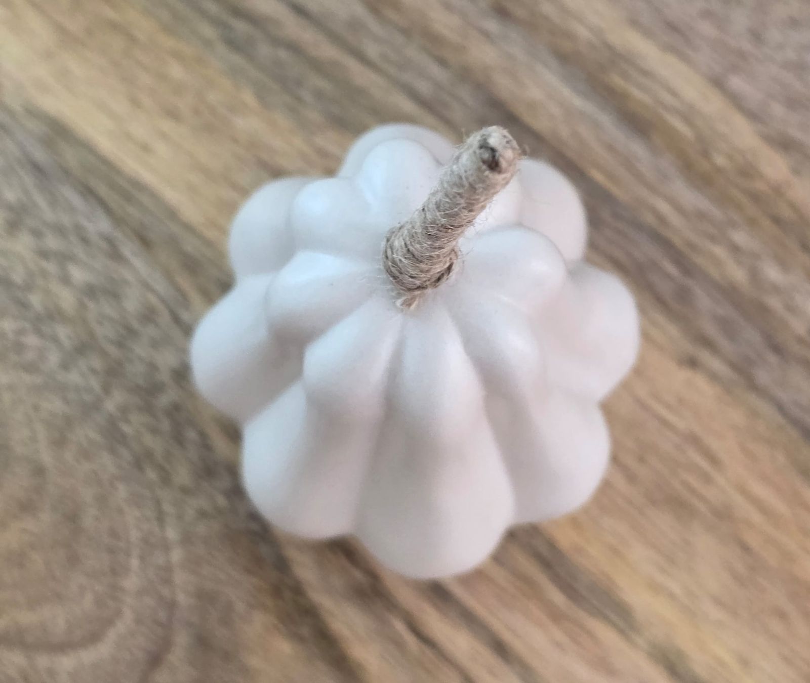 Tutte le decorazioni: Deko Kuerbis weiss  – Usato da Rheinsulz venduto da Dred 1
