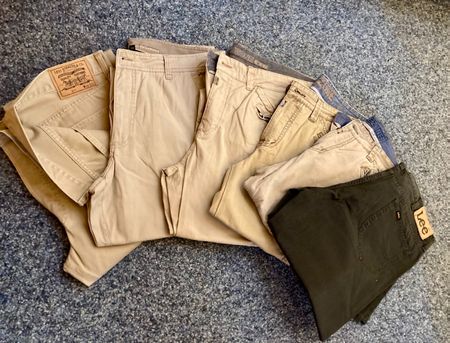 6 Jeans / Cargohosen (Levi Strauss, Lee, Timezone...)