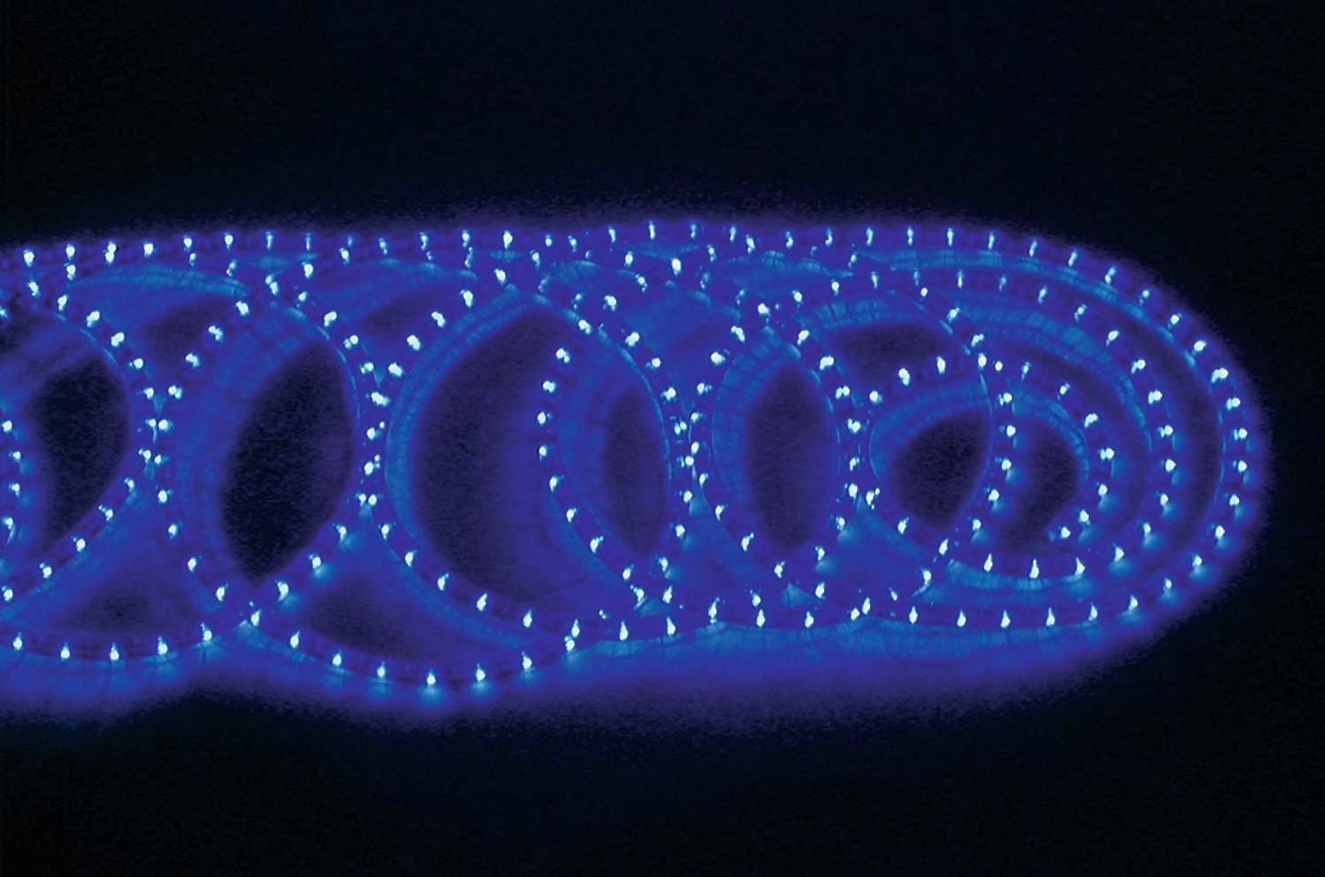 Illuminazione & Effetti luce: EUROLITE RUBBERLIGHT RL1-230V blau 5m – Nuovo e nell'imballaggio originale da Däniken SO venduto da Profog1 4
