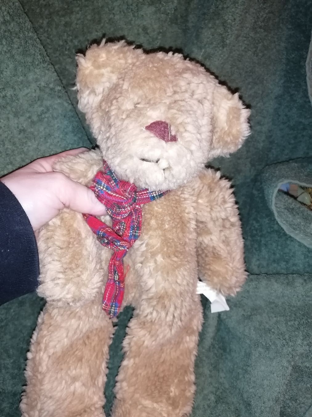 Giocattoli: Bellaflor Teddybär mit Schal- kirschsteine – Usato da Birrwil venduto da inf_2qrx