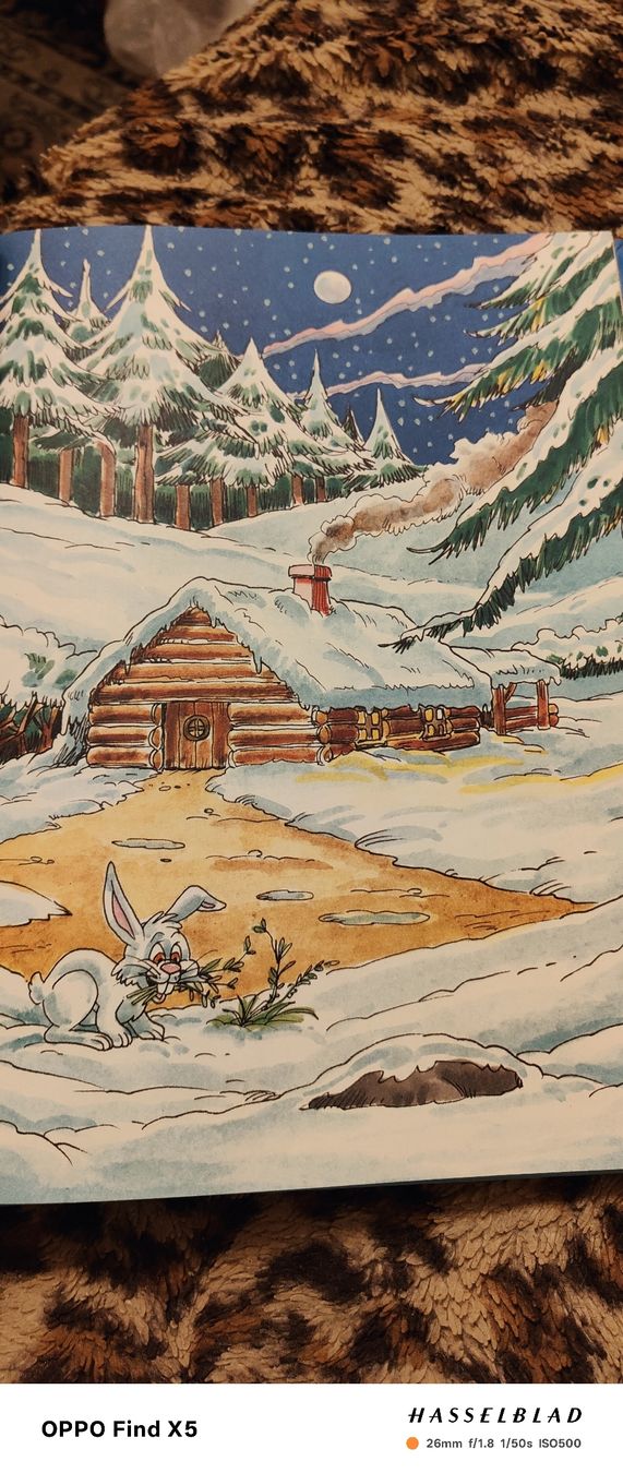 Libri: Der Weihnachtsmann und seine Freunde – Usato da Volken venduto da katz5 1
