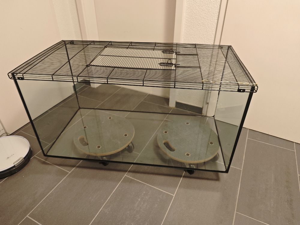 Terrarium mit Gitterabdeckung Kaufen auf Ricardo
