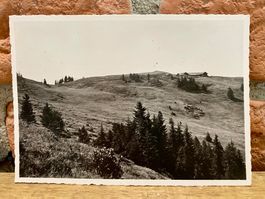 Grosser Schweinsberg (Kt. Fribourg) - Grosser Schwyberg