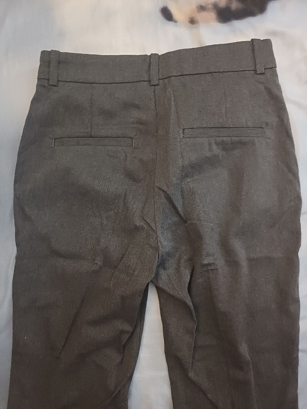 H&M Pantaloni: Elegant grey trousers – Nuovo (secondo la descrizione) da Dietikon venduto da Francesca_Pk 3