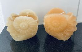 2 Kerzen Muschel Design neu und unbenutzt ca 10cm