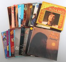 Schallplatten Div. Schlager und Volksmusik 13