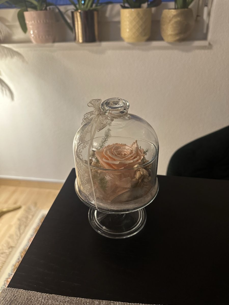 Tutte le decorazioni: Vase Glasglocke getrocknete Rose – Nuovo (secondo la descrizione) da Luzern venduto da ariazalea 1