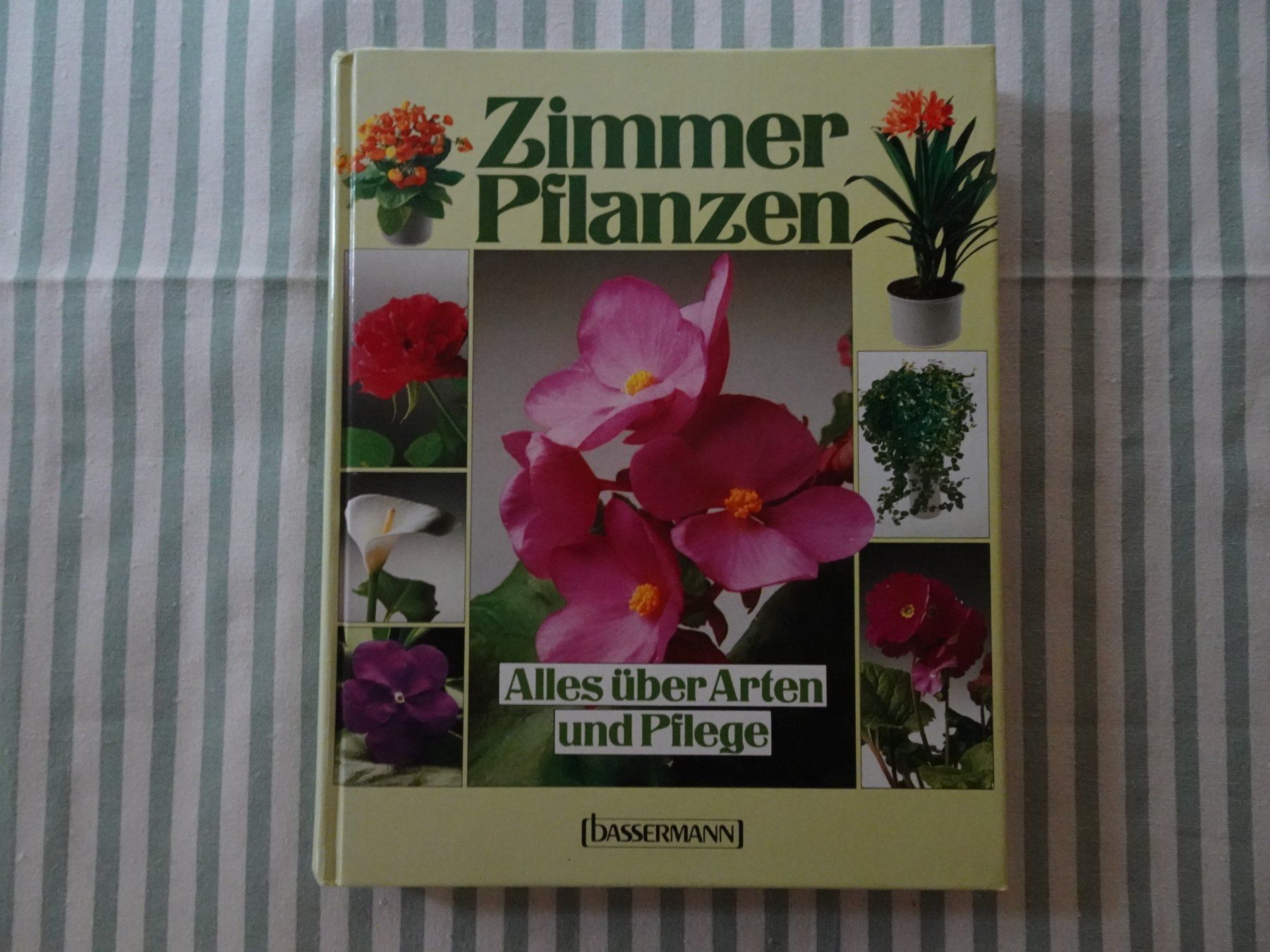 Bücher: Zimmerpflanzen- Alles über Arten und Pflege - B783 – Gebraucht aus Küssnacht am Rigi von Bookslove-Divers