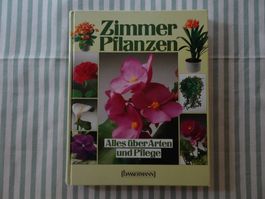 Zimmerpflanzen- Alles über Arten und Pflege - B783
