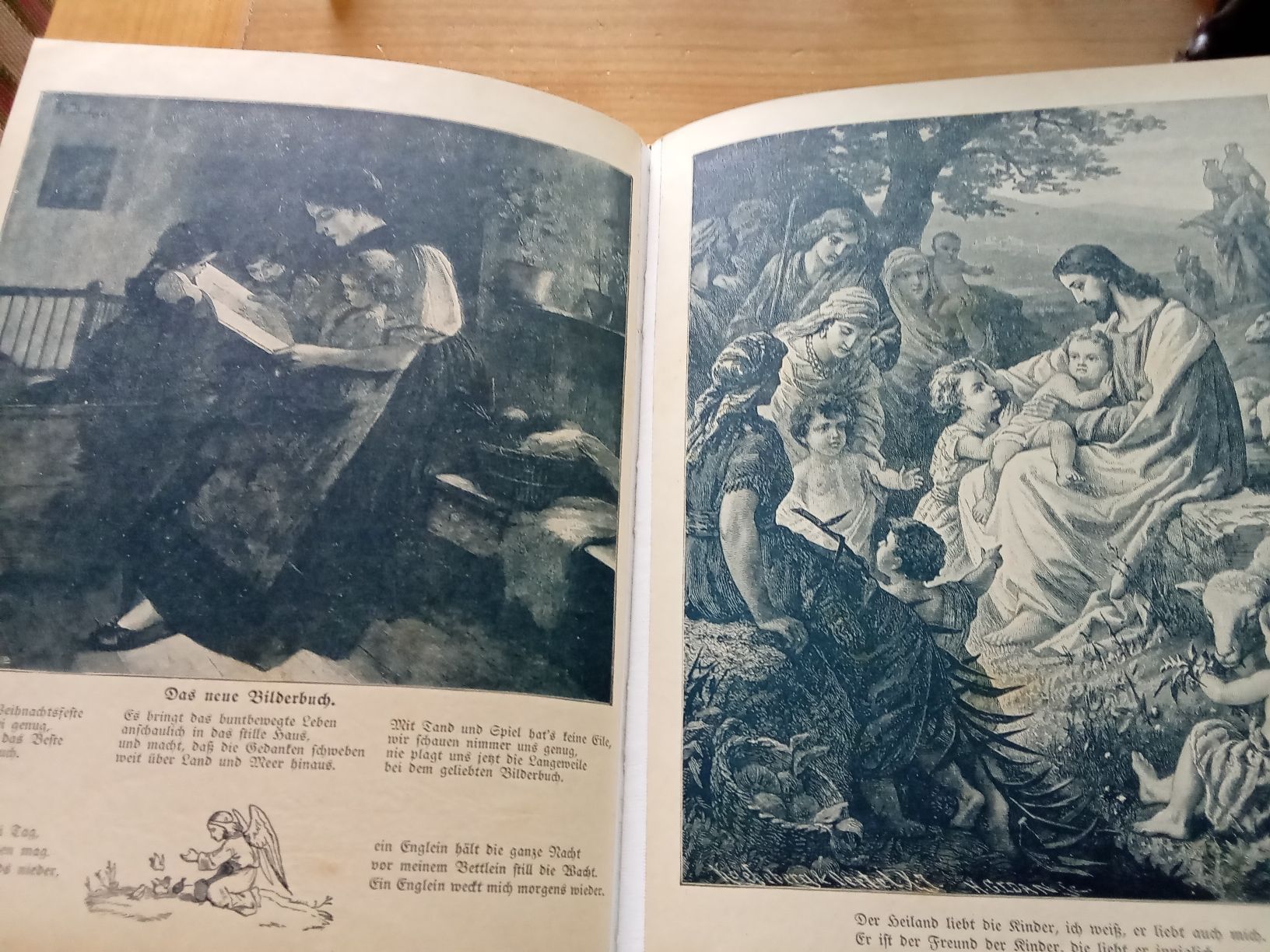 Libri: KINDER LUST UND KINDERLEBEN – Usato da Muri BE venduto da Alk 4