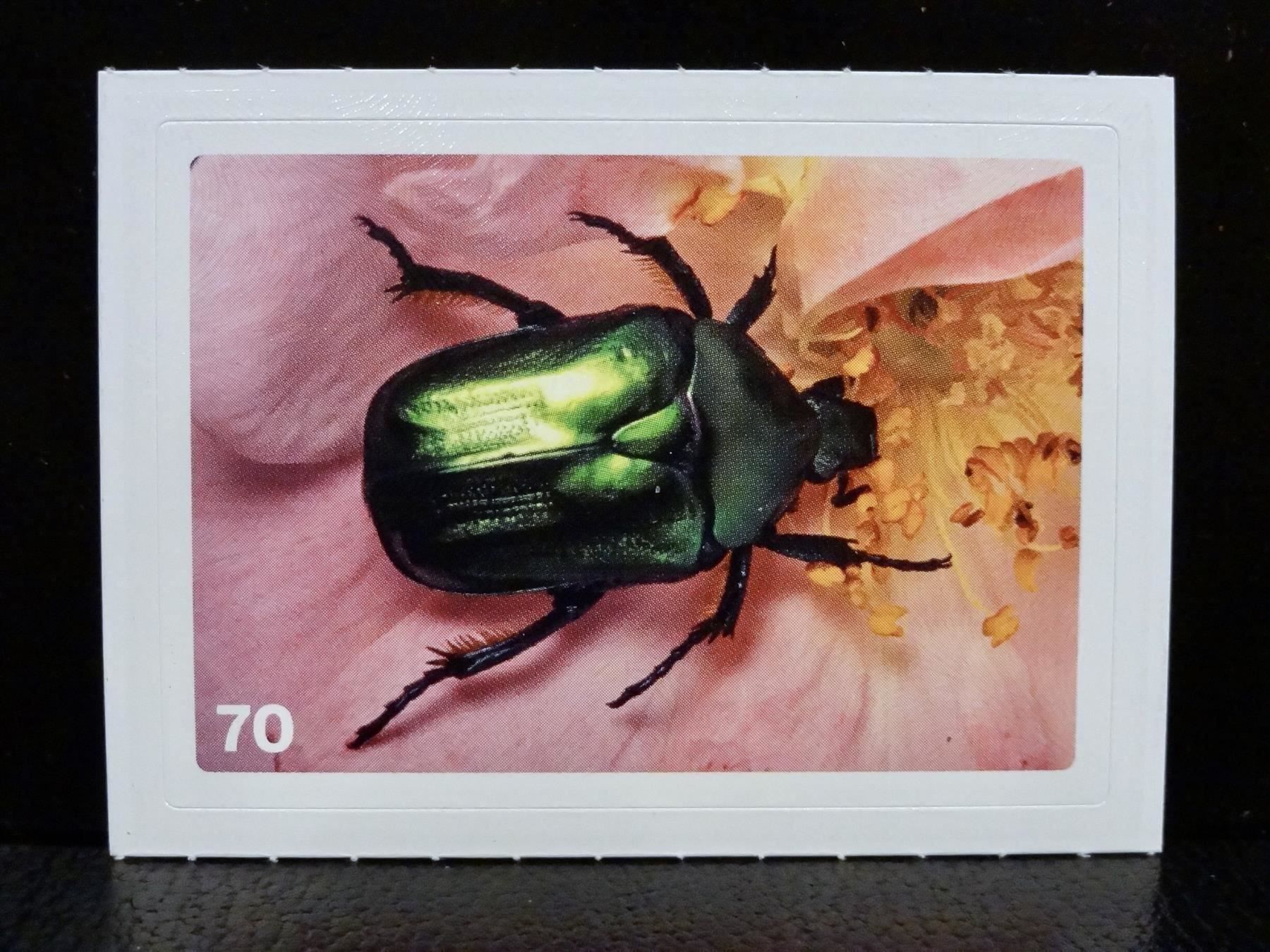 Migros Carte collezionabili: MIGROS MANIA Nature Detectives Nr. 70 – Usato da Kerzers venduto da zimmergruen