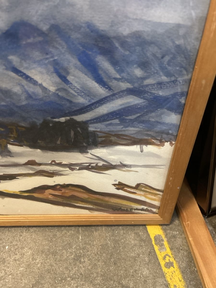 Dipinti: Heini Waser Aquarell – Usato da Zürich venduto da BashasBrockenhaus 1