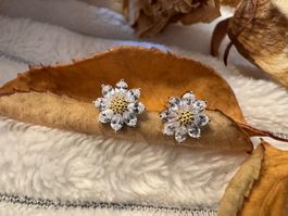 Schönen Ohrringe zirconia 925 Sterling Silver