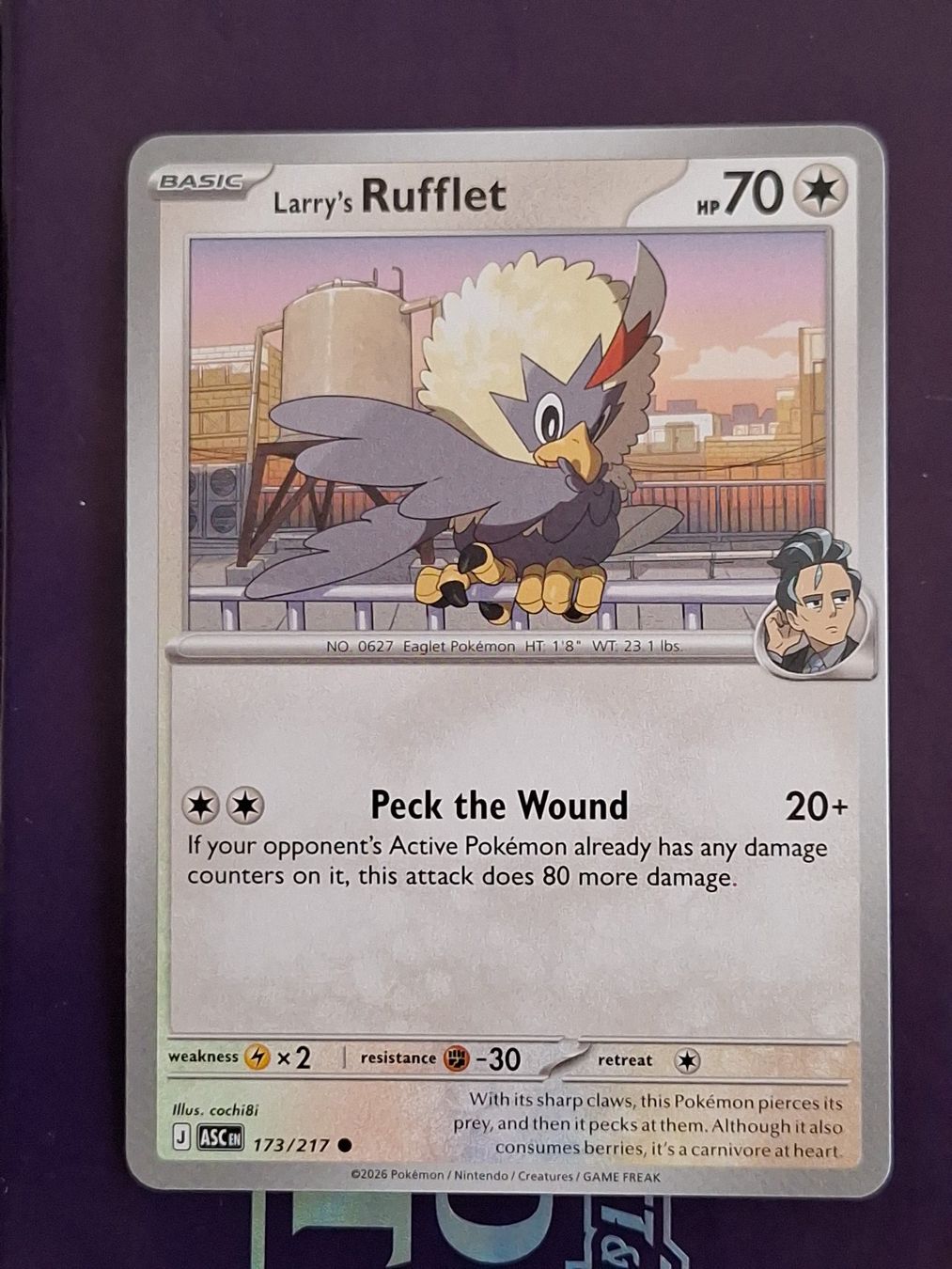 Pokémon Carte collezionabili: Larry's Rufflet - Pokemon Ascended Heroes – Usato da Altstätten SG venduto da GGsGameshop