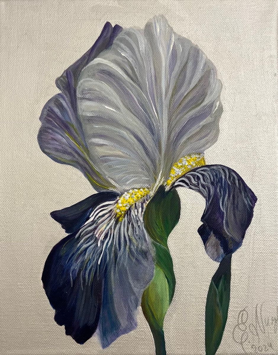 Gemälde: Iris – Neu (gemäss Beschreibung) aus Reinach BL von art-inspiration.ch