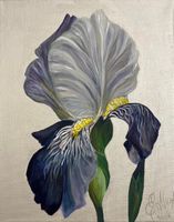Iris