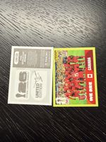 Panini FIFA World Cup 2026. CAN 13