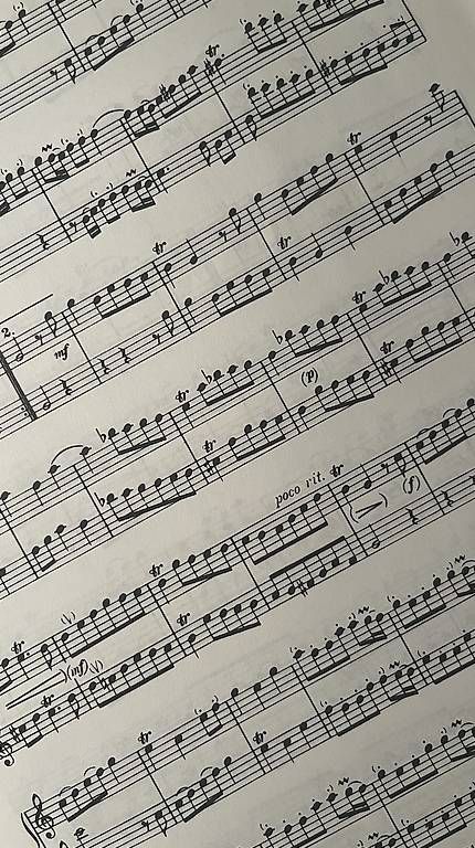 Strumenti musicali: Noten für 2 Flöten – Usato da Itingen venduto da Weiler1
