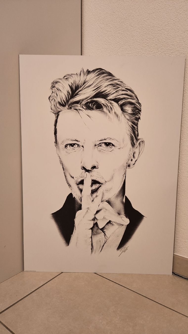 Poster & Bilder: David Bowie Aluminium Bild – Gebraucht aus Schaan von car_wrv2