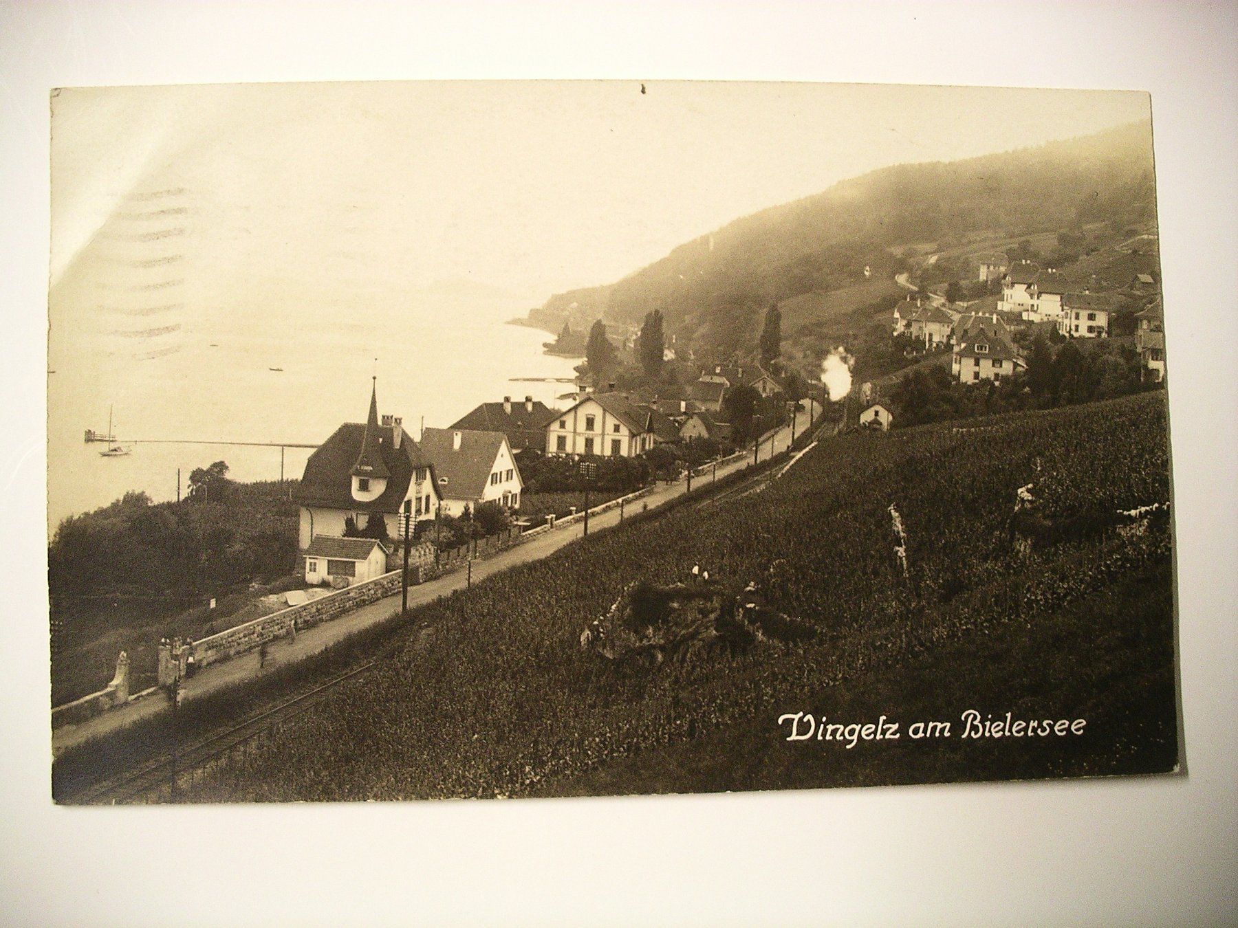 Cartoline postali: FotoAK  VINELZ – Usato da Oberhofen am Thunersee venduto da luuping99