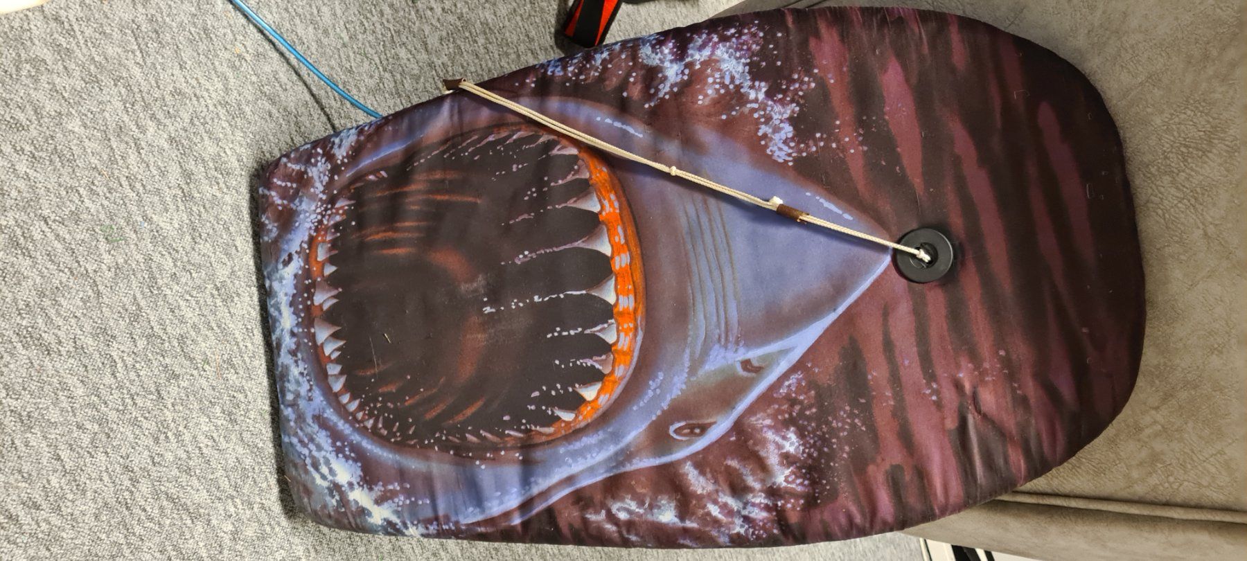 Surfboards & Schwimmbrette: Wasser Board – Gebraucht aus Volketswil von James2012