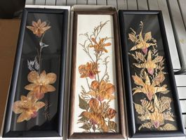Blumenbild 3 er Herbarium-Set Orchideen
