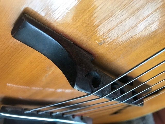 Strumenti musicali: VEGA Archtop Gitarre – Usato da Zürich venduto da gemuesebouillon 6