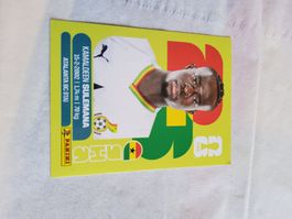 Panini Fussball GHA 12