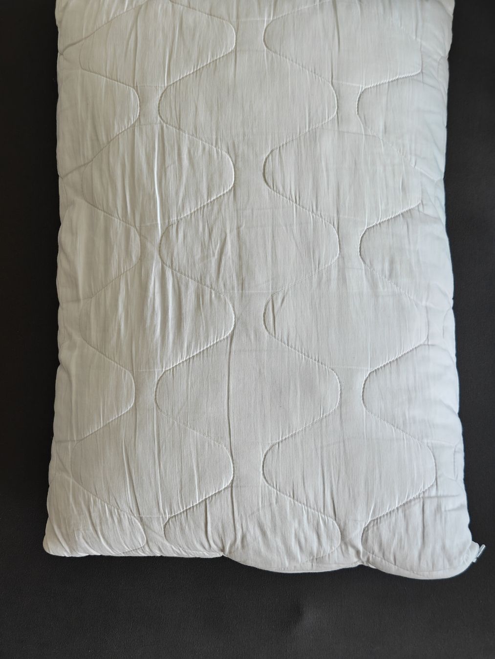 Cuscini: Billerbeck 50x70 pillow – Usato da Zürich venduto da seconda_chance 1