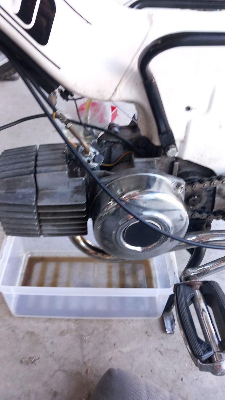 Puch Ciclomotori: Puch Maxi S weiss – Usato da Dietwil venduto da talulla 2
