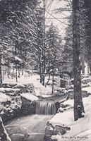 BAULMES, bords de la baumine en hiver