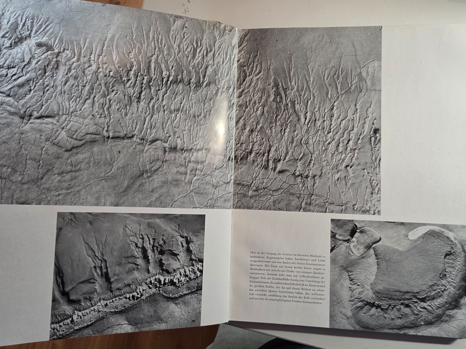 Libri: Das Antlitz der Natur - Andreas Feininger - 1957 – Usato da Walterswil BE venduto da Lonitti 2