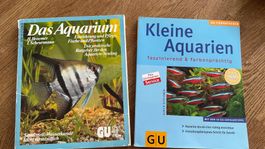 Ratgeber kleine Aquarien