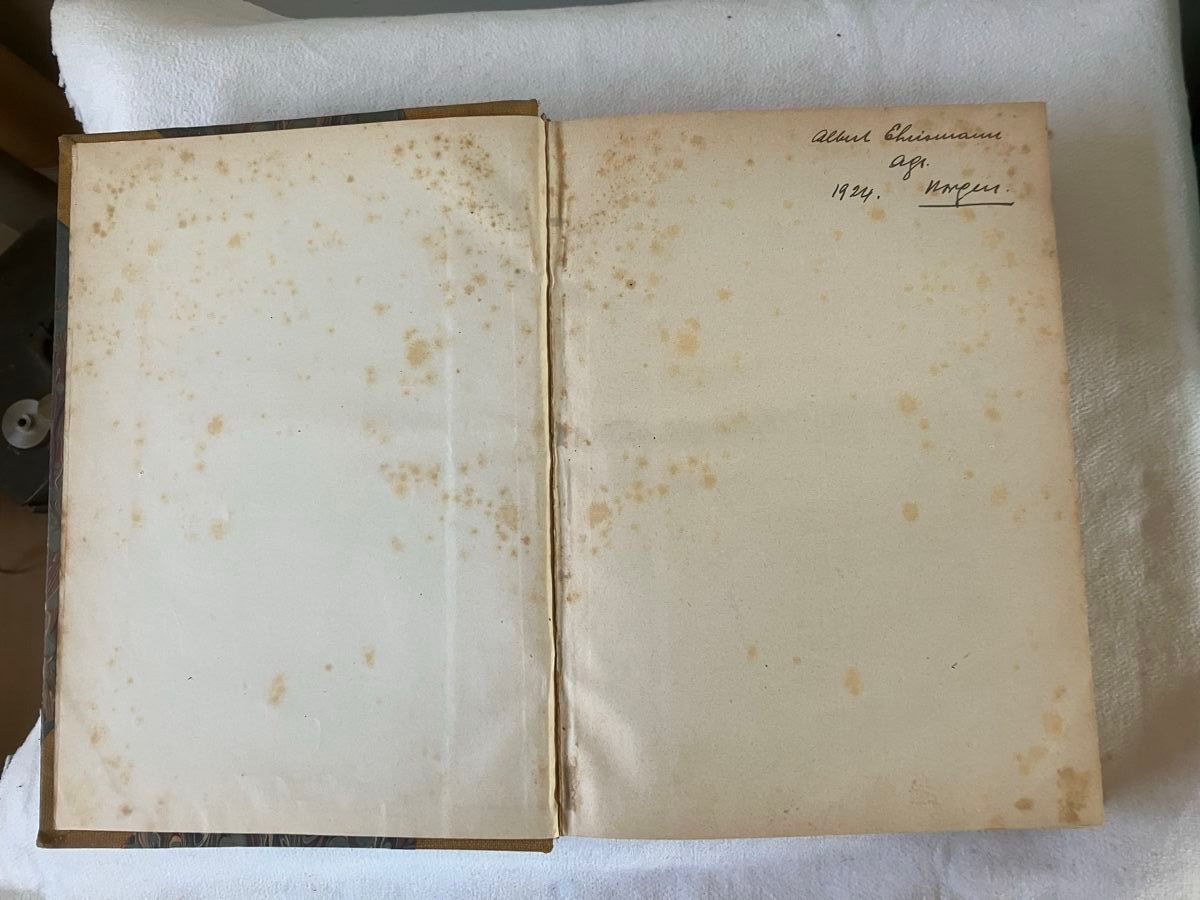 Libri: Albert Heim Geologie der Schweiz – Usato da ZUERICH venduto da Carolus1 7