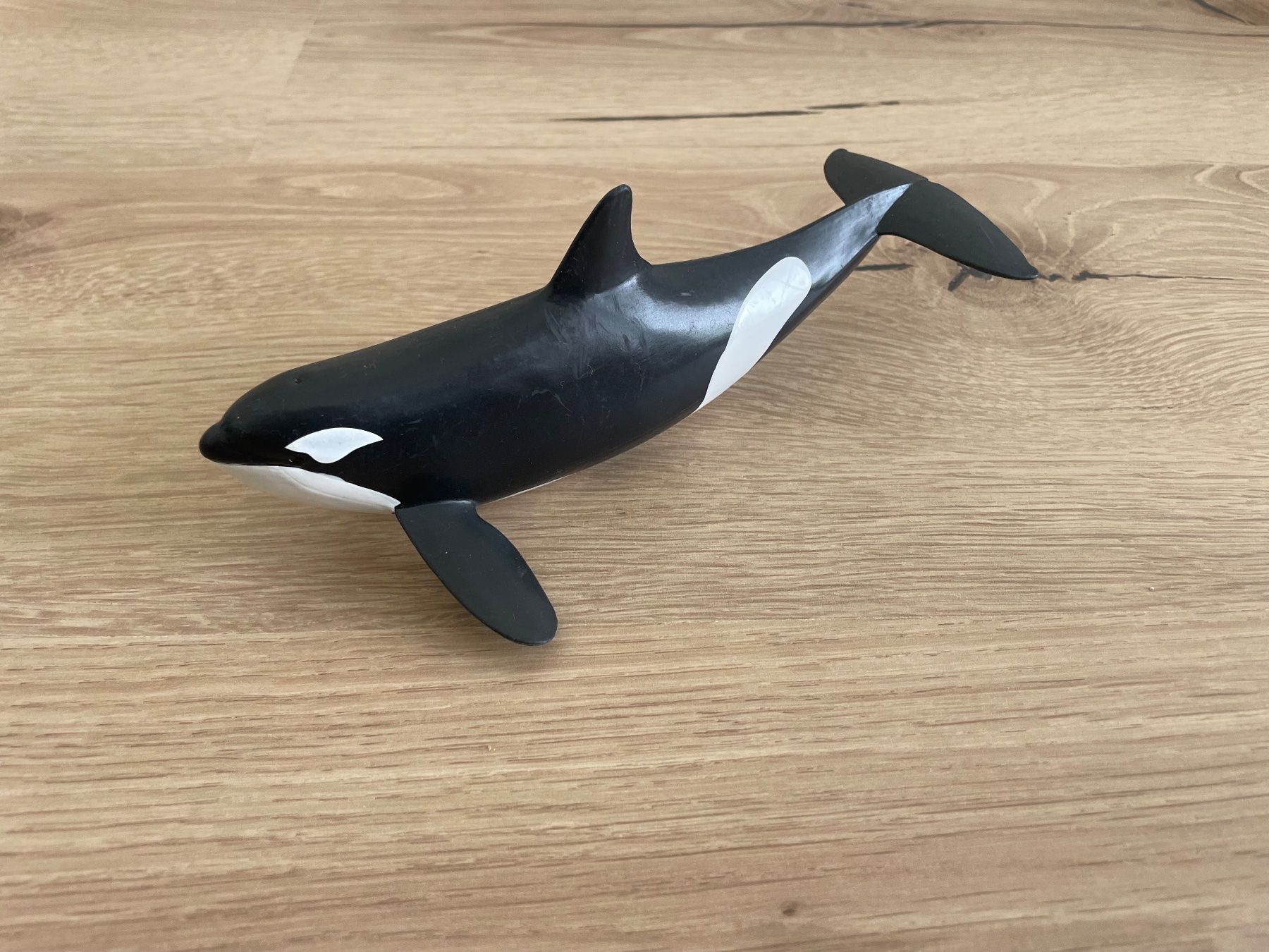 Schleich Statuette: 5 St Schleich Figuren Meerestiere – Usato da Menziken venduto da mti_7vqf 1