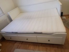 Gästebett  