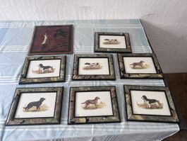Hunde Bilder Set (80)